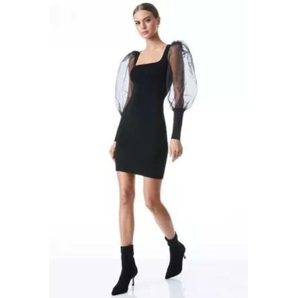 Alice and Olivia‎ Abella Mesh Puff Sleeve Dress Size Small
